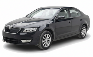 Skoda Özel Servis